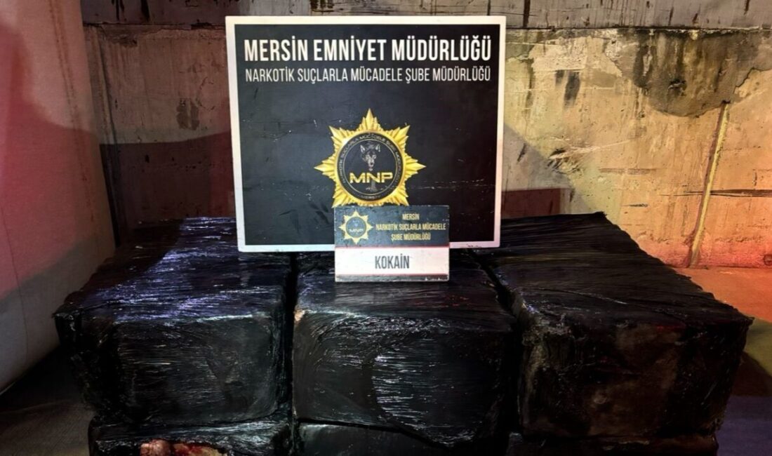 Mersin Limanı’nda düzenlenen operasyonda, yer fıstığı yüklü gemide 298 kilogram