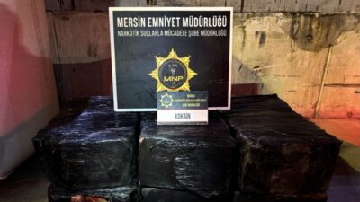 Mersin Limanı’nda düzenlenen operasyonda, yer fıstığı yüklü gemide 298 kilogram