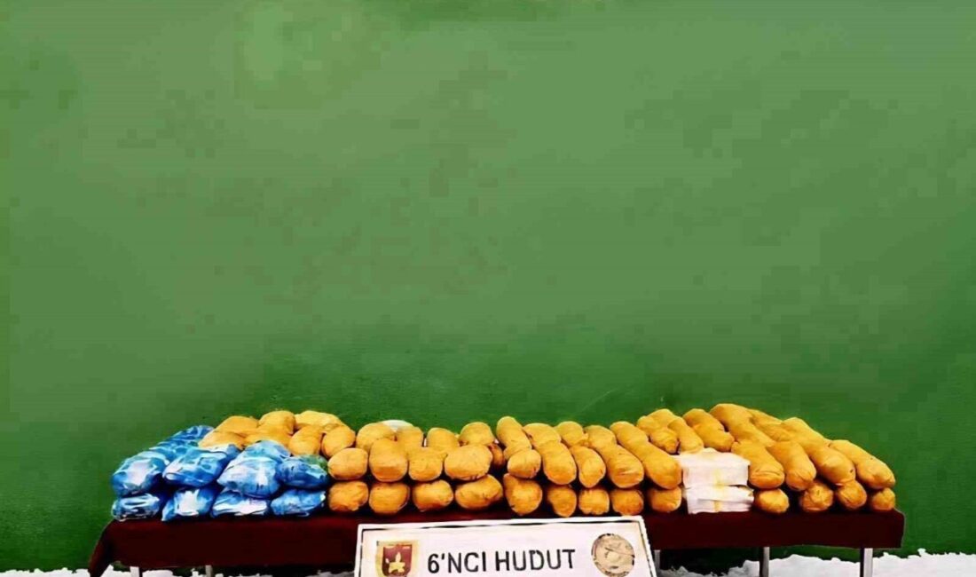 Milli Savunma Bakanlığı, Türk Silahlı Kuvvetleri bünyesinde faaliyet gösteren Hudut