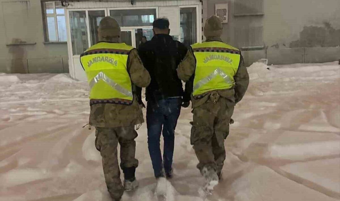 Muş Jandarma Komutanlığı ekipleri, aranan kişilerin yakalanması için yürütülen operasyonlar