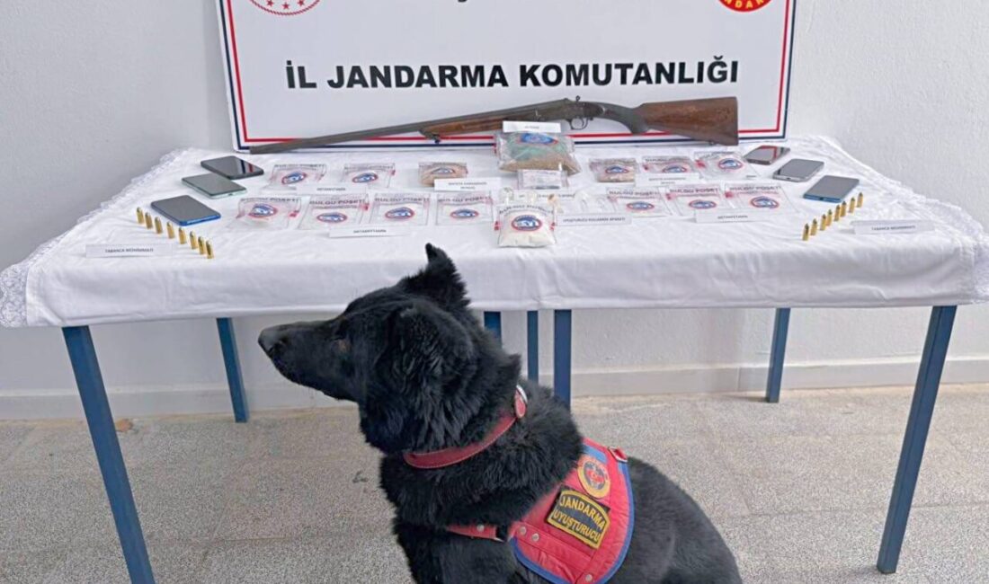 Muş İl Jandarma Komutanlığı ekipleri, Merkez ve Hasköy ilçelerinde aynı