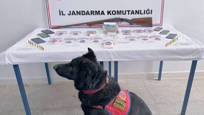 Muş İl Jandarma Komutanlığı ekipleri, Merkez ve Hasköy ilçelerinde aynı