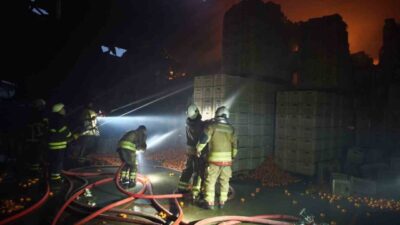Erzin ilçesinde bulunan bir narenciye paketleme fabrikasında meydana gelen yangında,