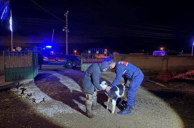 Nevşehir’in Avanos ilçesine bağlı Kalaba beldesinde yaşanan olayda bir vatandaşın