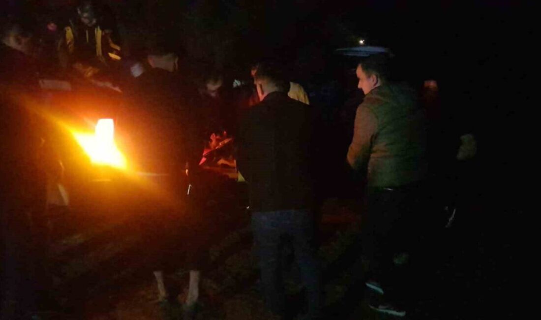 Sakarya’nın Taraklı ilçesinde, orman yangınlarından zarar gören ağaçları taşıyan bir