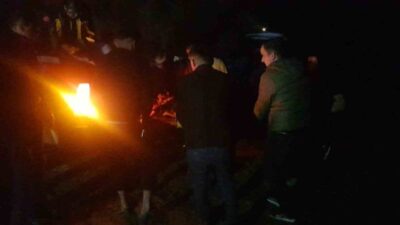 Sakarya’nın Taraklı ilçesinde, orman yangınlarından zarar gören ağaçları taşıyan bir
