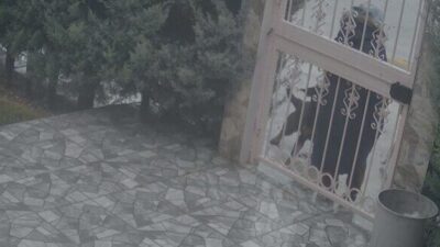 Ankara’nın Elmadağ ilçesinde sahipsiz köpeklerin saldırısına uğrayan bir kadına yardım