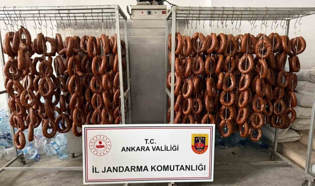 Polatlı ilçesinde, Ankara İl Jandarma Komutanlığı ekipleri tarafından yapılan operasyonda