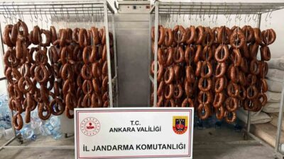 Polatlı ilçesinde, Ankara İl Jandarma Komutanlığı ekipleri tarafından yapılan operasyonda