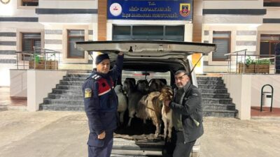 Gaziantep’te meydana gelen olayda, Nizip ilçesinde yaşanan bir dolandırıcılık vakası