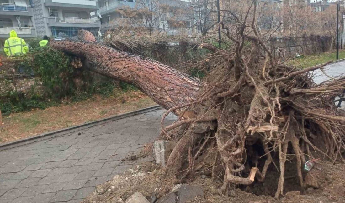 Salihli İlçesi, Manisa’da fırtına felaketiyle sarsıldı. Şiddetli rüzgarın etkisiyle ilçede