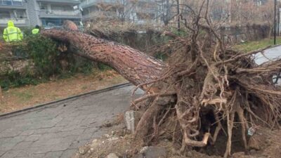 Salihli İlçesi, Manisa’da fırtına felaketiyle sarsıldı. Şiddetli rüzgarın etkisiyle ilçede