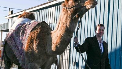 ABD’de vefat eden sanatçı Mertcan Türkoğlu, son eseri “Last Camp