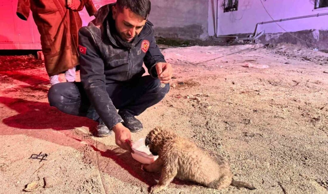 Şanlıurfa’da Duruca Mahallesi’nde meydana gelen olayda, 20 metre derinliğindeki bir