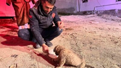 Şanlıurfa’da Duruca Mahallesi’nde meydana gelen olayda, 20 metre derinliğindeki bir