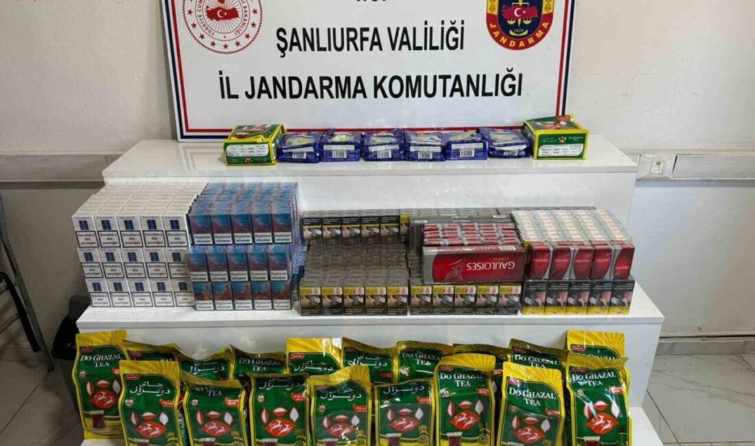 Şanlıurfa’nın Viranşehir ilçesinde gerçekleştirilen operasyonda 6,180 paket gümrük kaçağı sigara