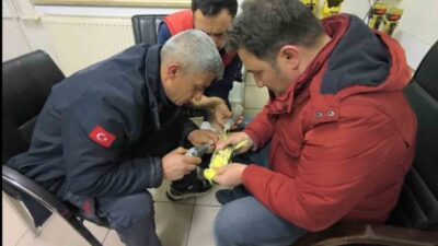 Haliliye ilçesinde, bir papağanın ayağında sıkışan halhal, itfaiye ekiplerince özenle