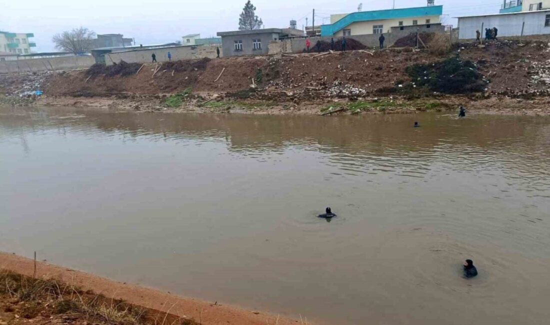 Harran ilçesinde bir sulama kanalına düşen aracın sürücüsünü arama çalışmaları