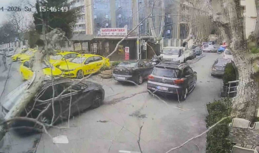 Sarıyer’de şiddetli rüzgarın etkisiyle devrilen bir ağaç, park halindeki bir