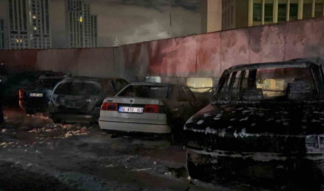 Sarıyer ilçesinde bulunan bir otoparkta park halinde olan 5 araç,