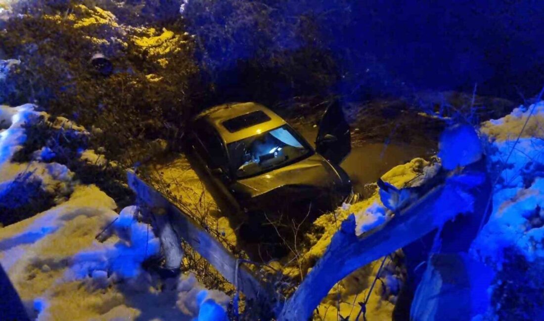 Sinop’ta bir otomobilin buzlanma sebebiyle kontrolünden çıkarak dereye düşmesi sonucu