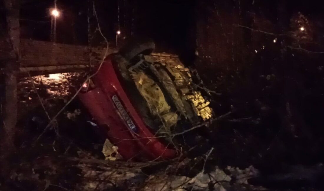 Sinop’un Erfelek ilçesinde meydana gelen trafik kazasında bir sürücü hayatını