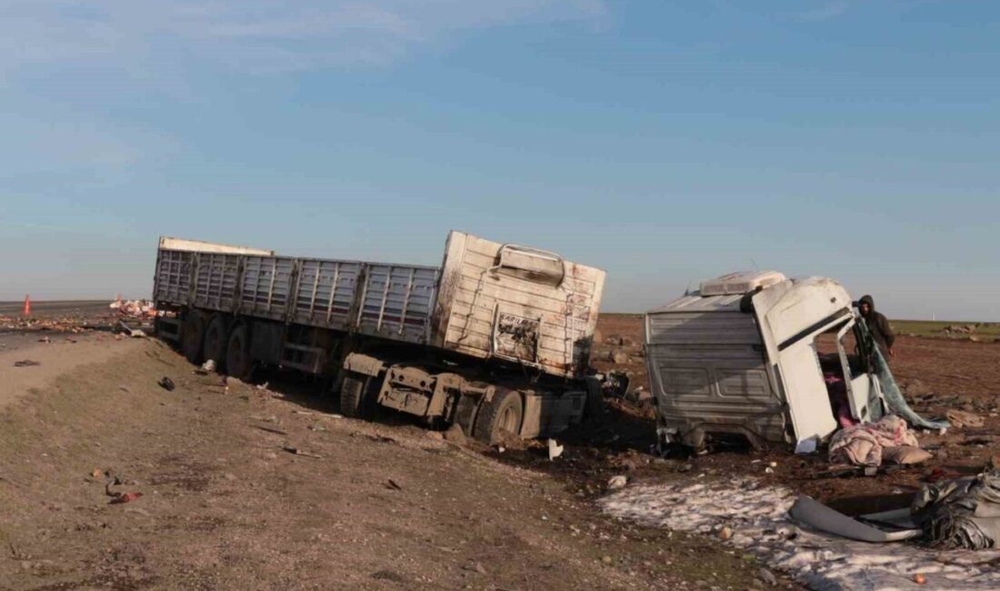Şırnak ilinde meydana gelen trafik kazasında, Cizre-Nusaybin karayolunda seyir halinde