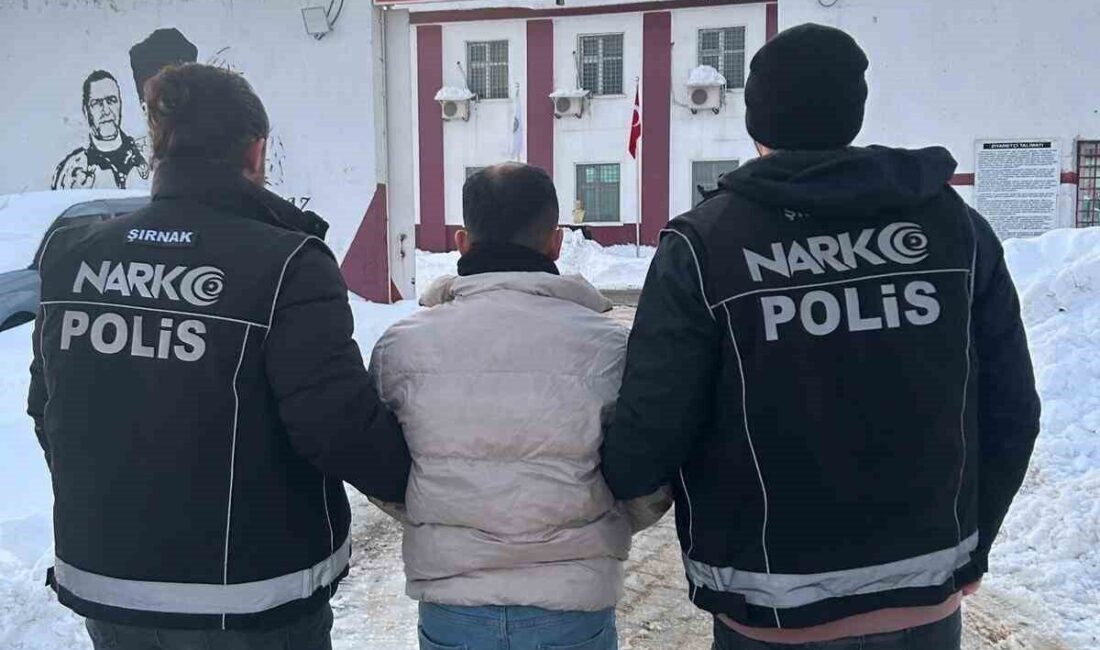 Şırnak’ta, uyuşturucu suçundan hüküm giymiş bir kişi, polis ekipleri tarafından