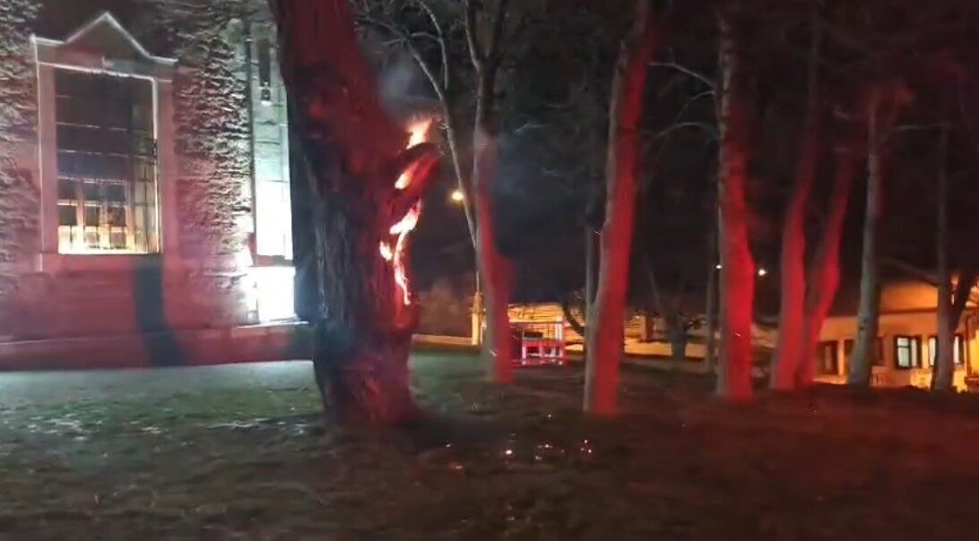 Eskişehir’de, Sivrihisar Tarihi Ermeni Kilisesi’nin önünde bulunan bir ağaç, kimliği