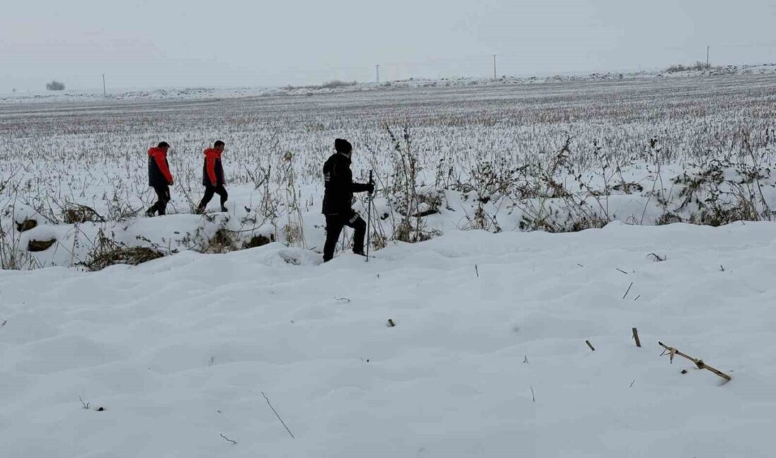 Çınar ilçesinde 45 yaşındaki bir kadın kaybolduğundan beri devam eden