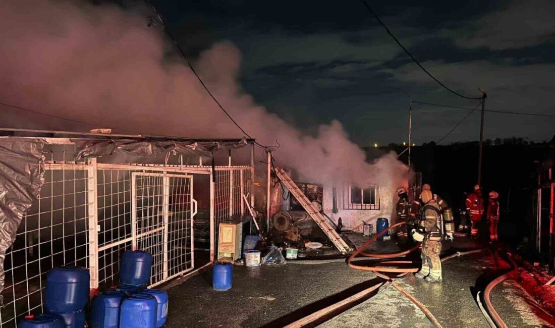 İstanbul’un Sultangazi ilçesinde, halı yıkama ve marangoz olarak kullanılan iki