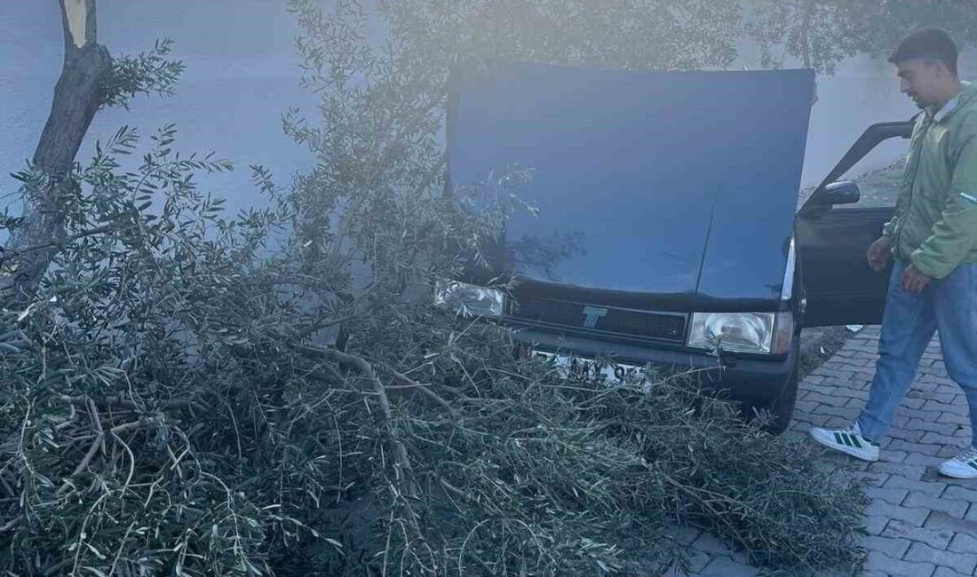 Denizli’de olan bir trafik kazasında, hız yapan bir otomobil duramayarak