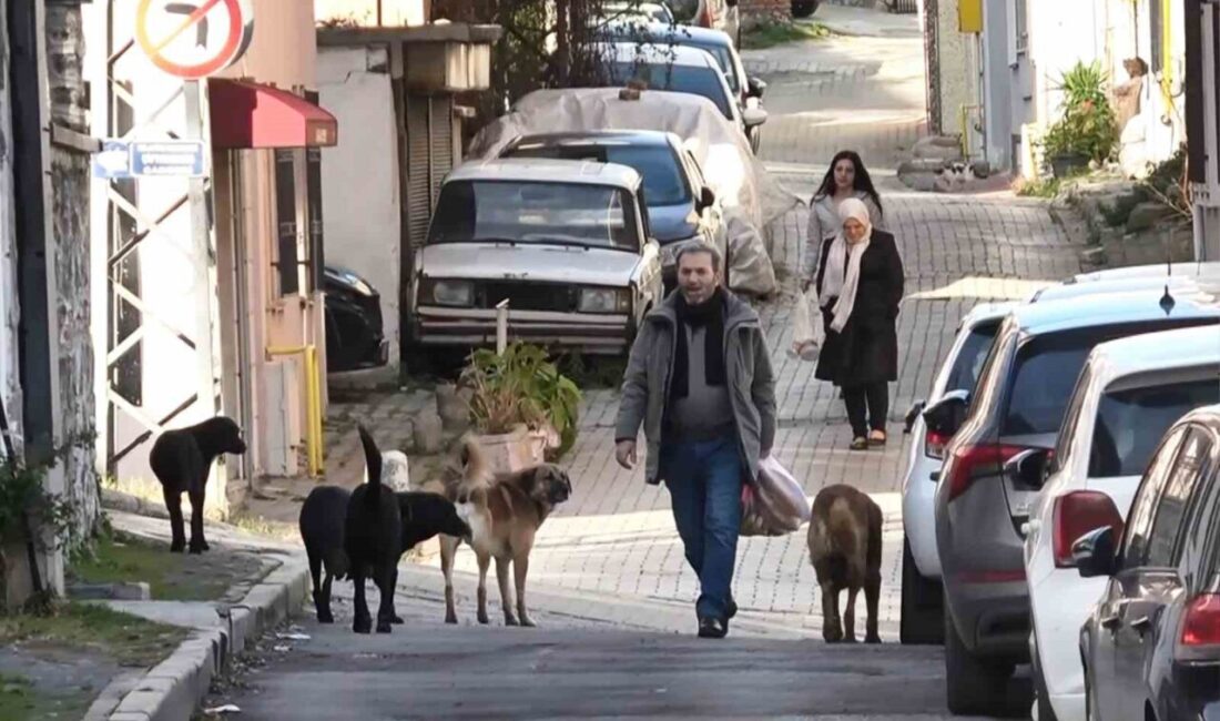 Samsun’da Şeyh Seyyid Kutbiddin Mezarlığı ve yakın çevresinde gruplar halinde