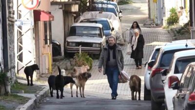 Samsun’da Şeyh Seyyid Kutbiddin Mezarlığı ve yakın çevresinde gruplar halinde