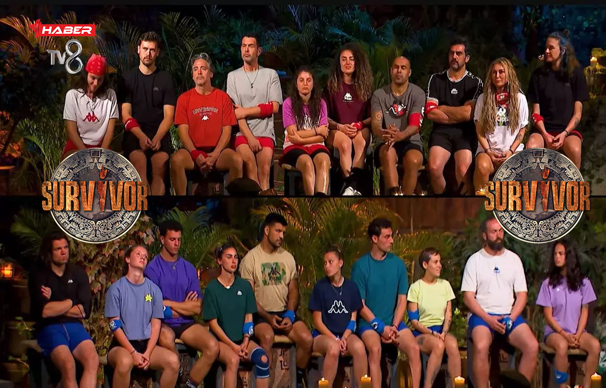 survivor 2026 gönüllüler
