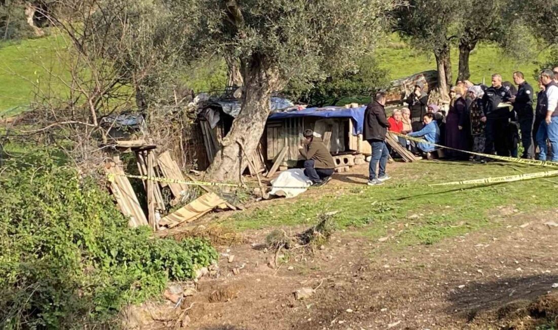 Kocaeli’de yaşayan 65 yaşındaki bir kadın, tavuklarını beslemek için evinin