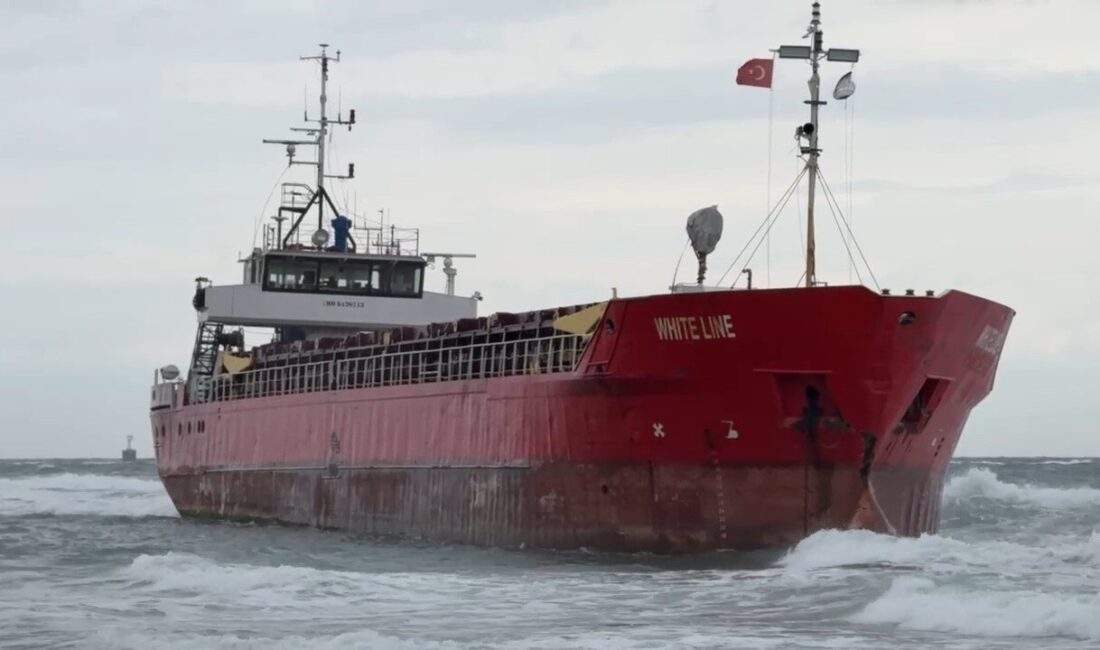Marmaraereğlisi ilçesinde, Palau bayrağı taşıyan bir yük gemisi, şiddetli rüzgarlar