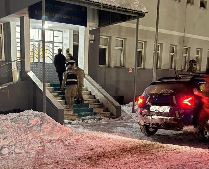 Tunceli’nin Ovacık ilçesinde, yeni doğmuş bir köpek yavrusuna yapılan kötü