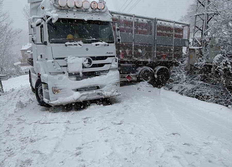 Türkeli ilçesinde etkili olan şiddetli kar yağışı, hayatı olumsuz etkilemeye