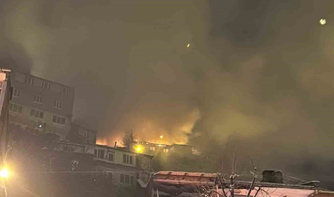 Bursa’nın Uludağ’a yakın bir bölgesindeki bir evde meydana gelen yangın,