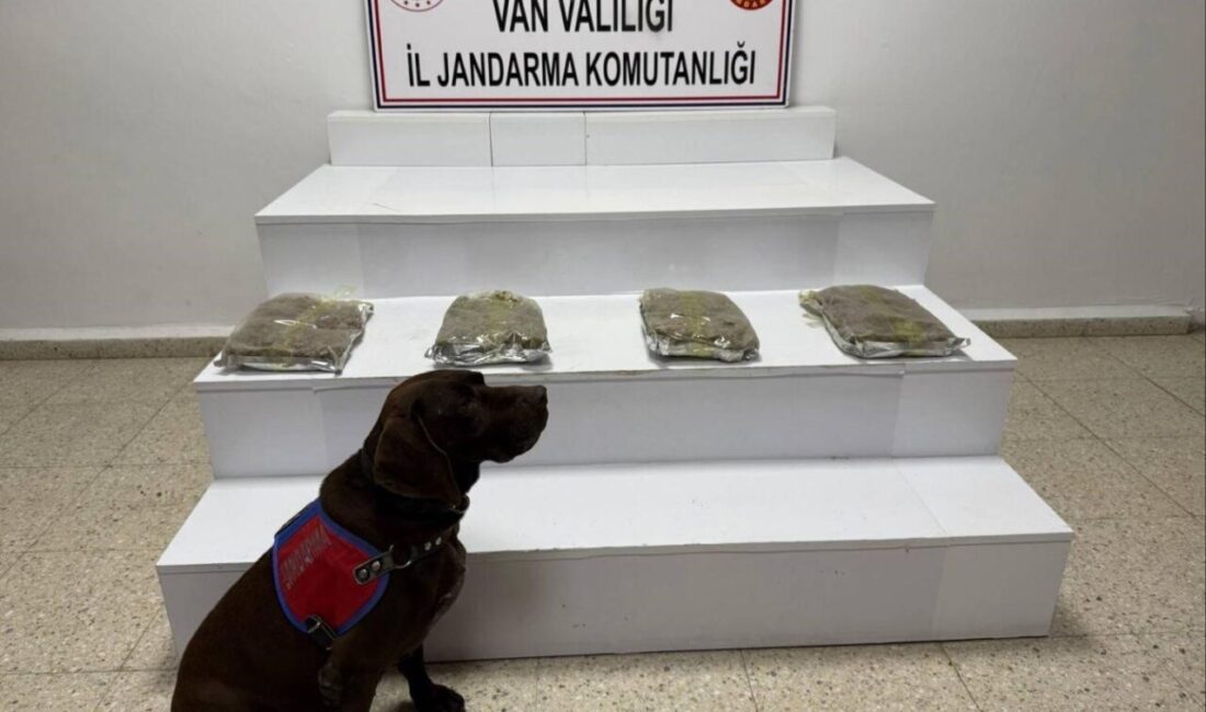 Van’ın Başkale ilçesinde jandarma ekipleri tarafından gerçekleştirilen operasyonda 5 kilo