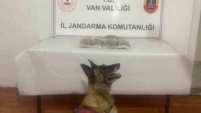 Van’ın Muradiye ilçesinde jandarma tarafından yapılan operasyon sonucunda uyuşturucu madde