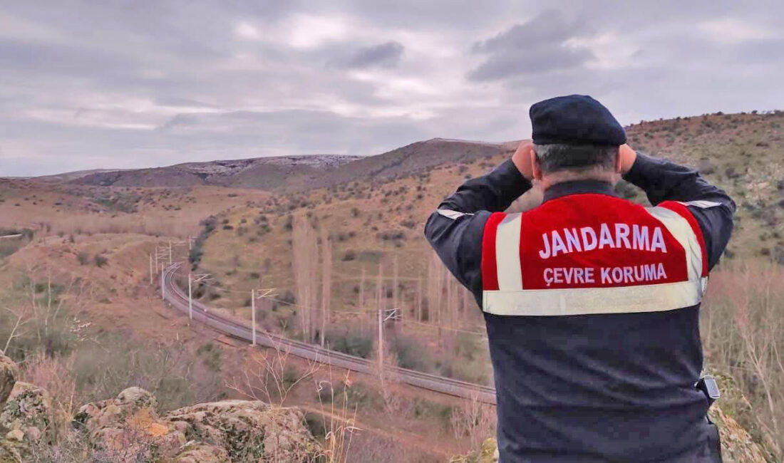 Yozgat İl Jandarma Komutanlığı’na bağlı Çevre ve Doğal Hayatı Koruma