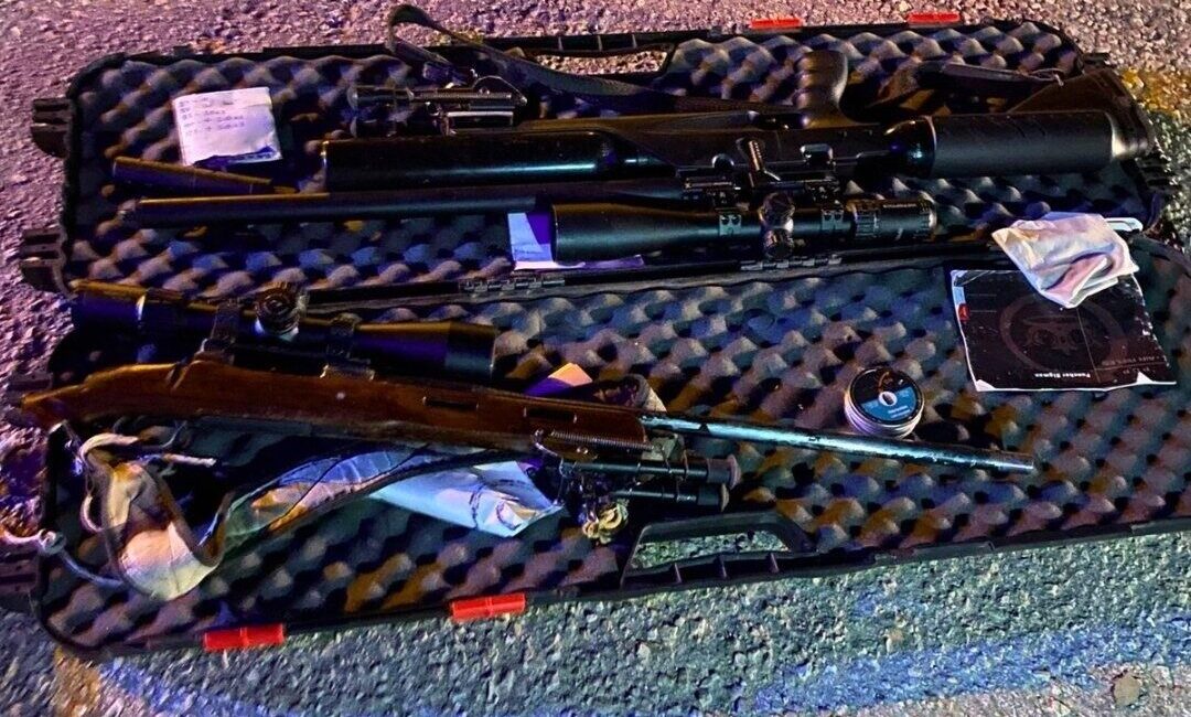 Mersin dahil olmak üzere üç ilde yaban keçisi avlayan üç