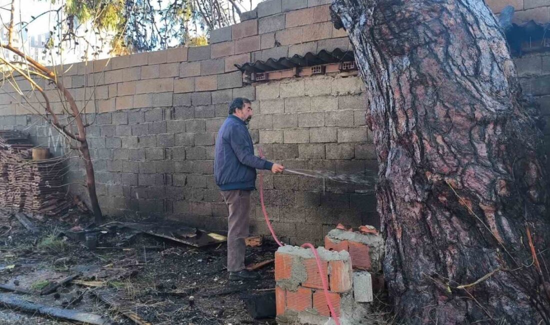 Antalya’da bir çam ağacına sıçrayan yangın, mahalle sakinlerinin evlerine ulaşmasını