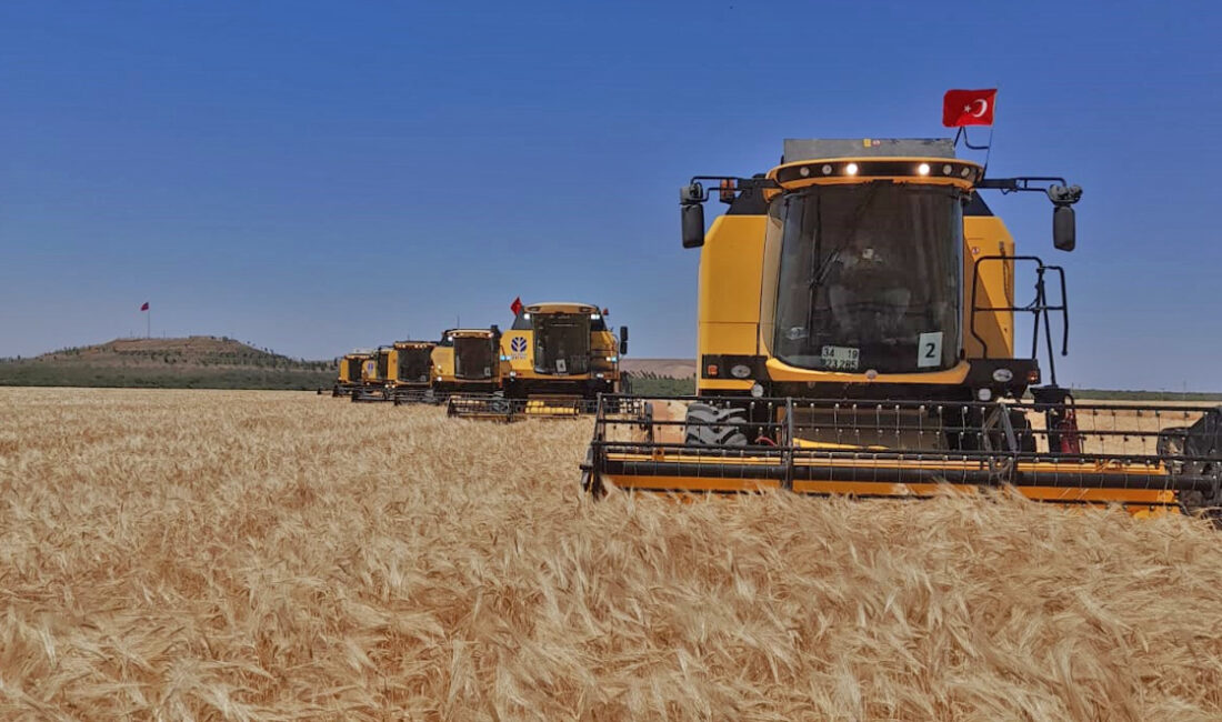 Yozgat İl Tarım ve Orman Müdürlüğü, sertifikalı buğday kullanımı desteği