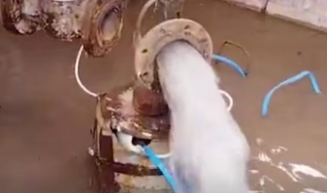 Başkan Arslan: Bugünü Değil, Yerköy’ün Geleceğini Kuruyoruz