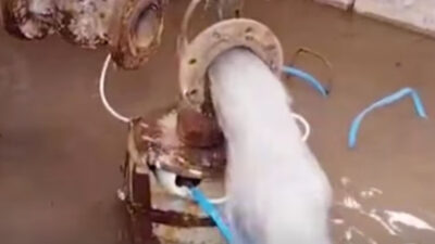 Başkan Arslan: Bugünü Değil, Yerköy’ün Geleceğini Kuruyoruz