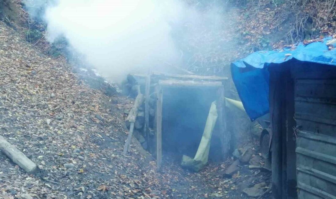 Zonguldak’ta, İl Emniyet Müdürlüğü ve İl Jandarma Komutanlığı ekipleri tarafından