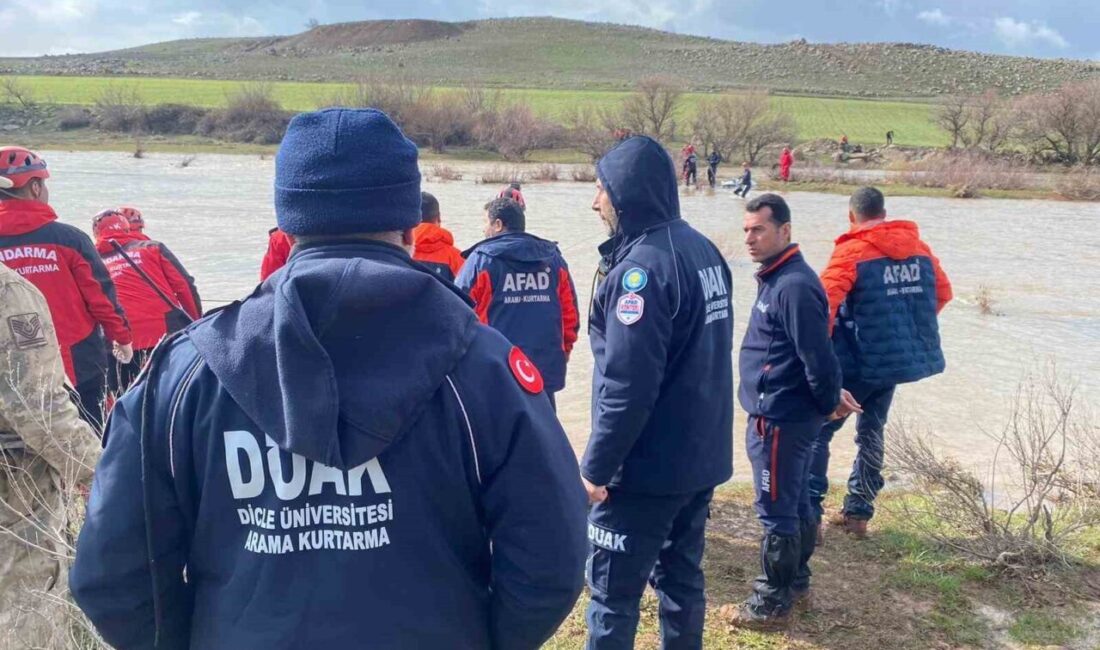 Çınar ilçesinde kayıp olan şizofreni hastası bir kadının cesedi 13